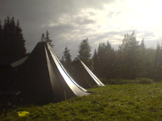 finnskoglavo